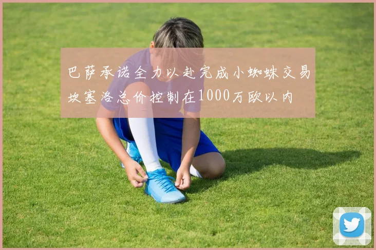 巴萨承诺全力以赴完成小蜘蛛交易坎塞洛总价控制在1000万欧以内